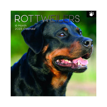 2023 Square Wall Calendar Animals - Dogs